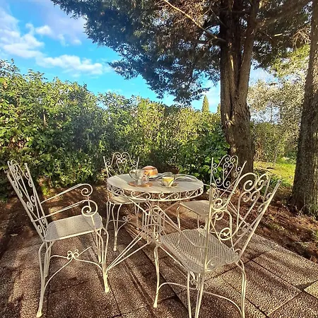 Casa Lucciana * Casole dʼElsa