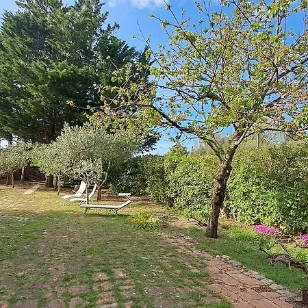 Casa Lucciana Casole dʼElsa